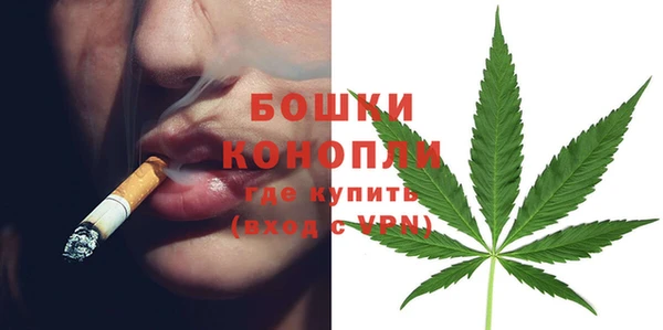 ECSTASY Строитель