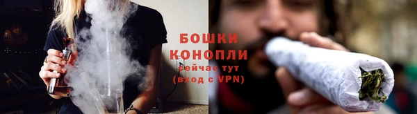 крисы Горнозаводск