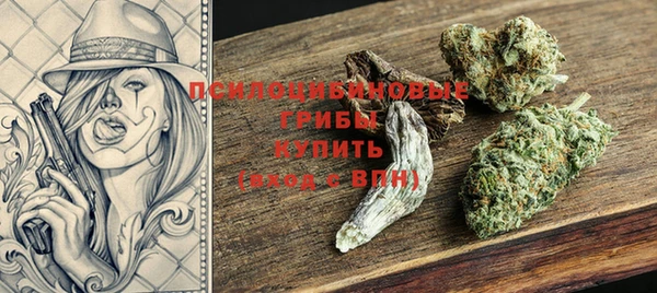 крисы Горнозаводск