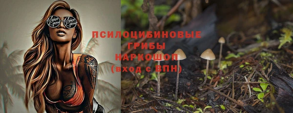 крисы Горнозаводск